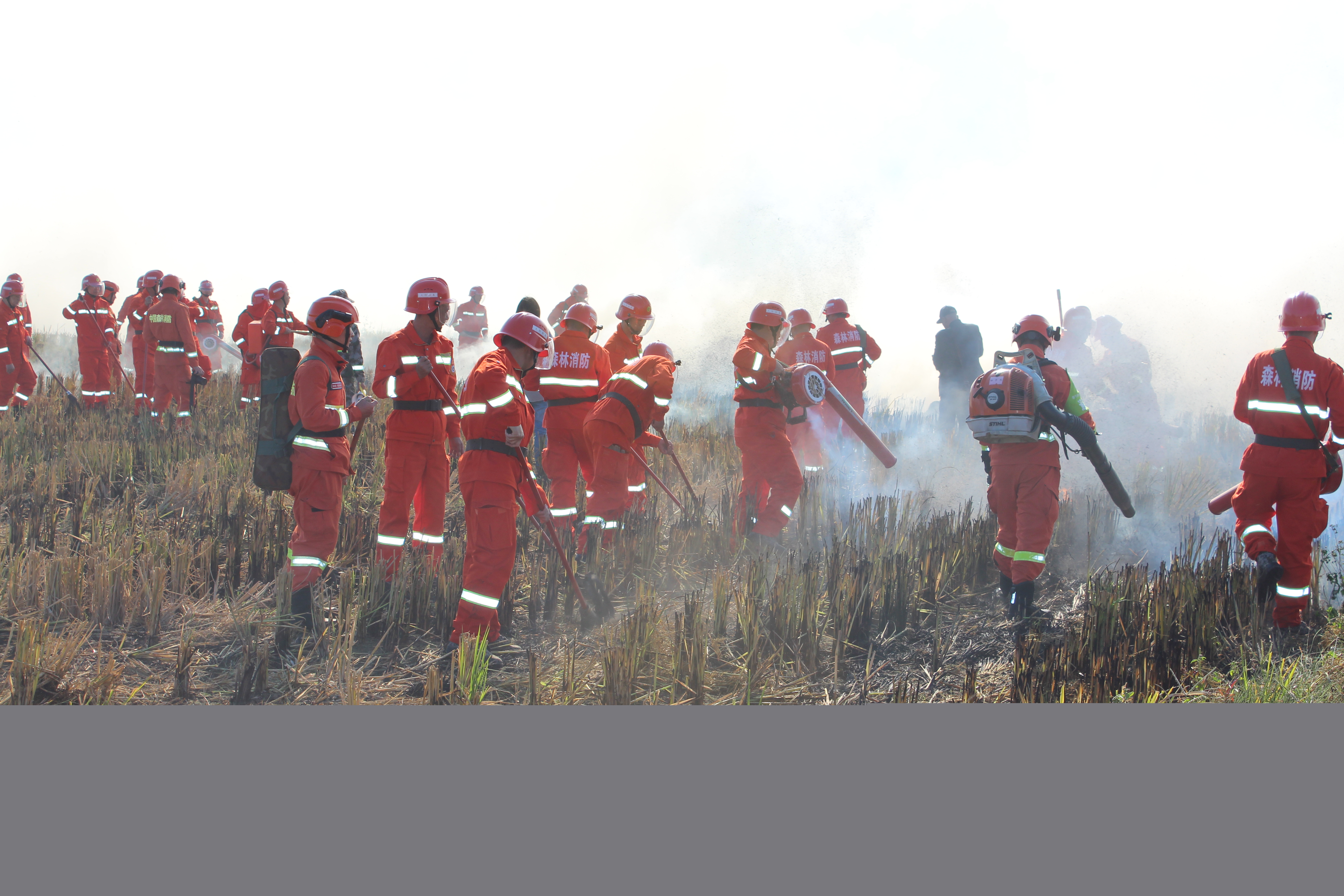 干好每一天|福建金森開展森林防火業務培訓及防火演練