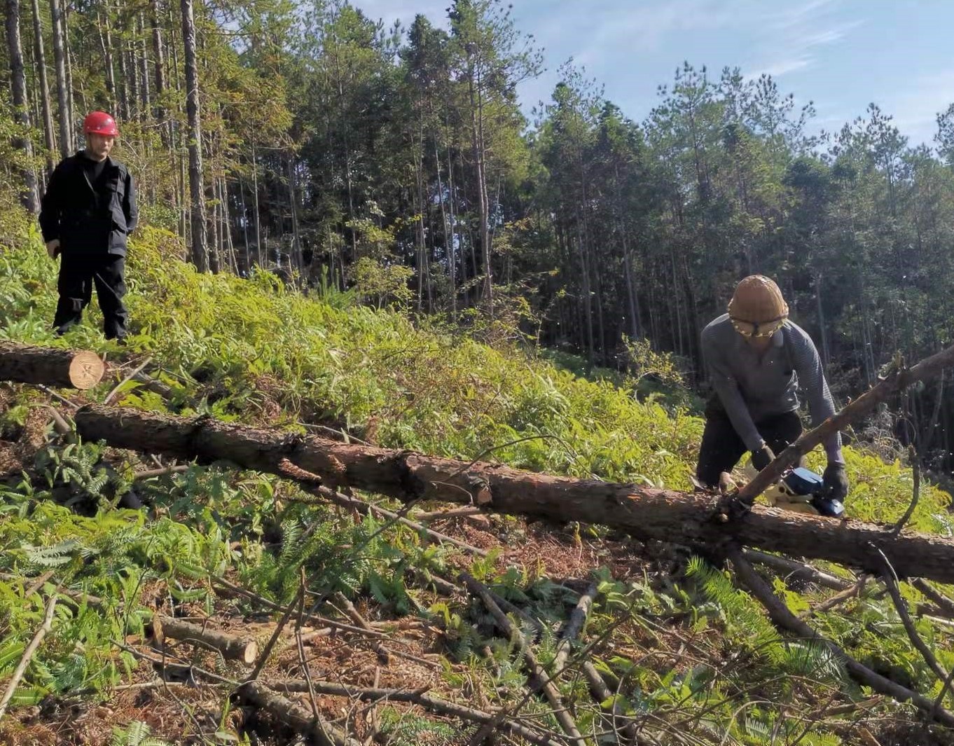 筑牢安全防線，守護一方平安 ——將溪分公司安全生產工作紀實