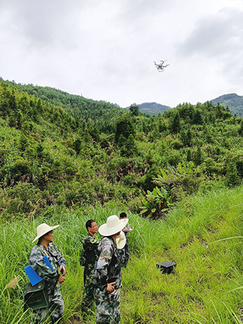 嚴把森林培育質量關,譜寫資源培育新篇章 嚴把森林培育質量關,譜寫資源培育新篇章