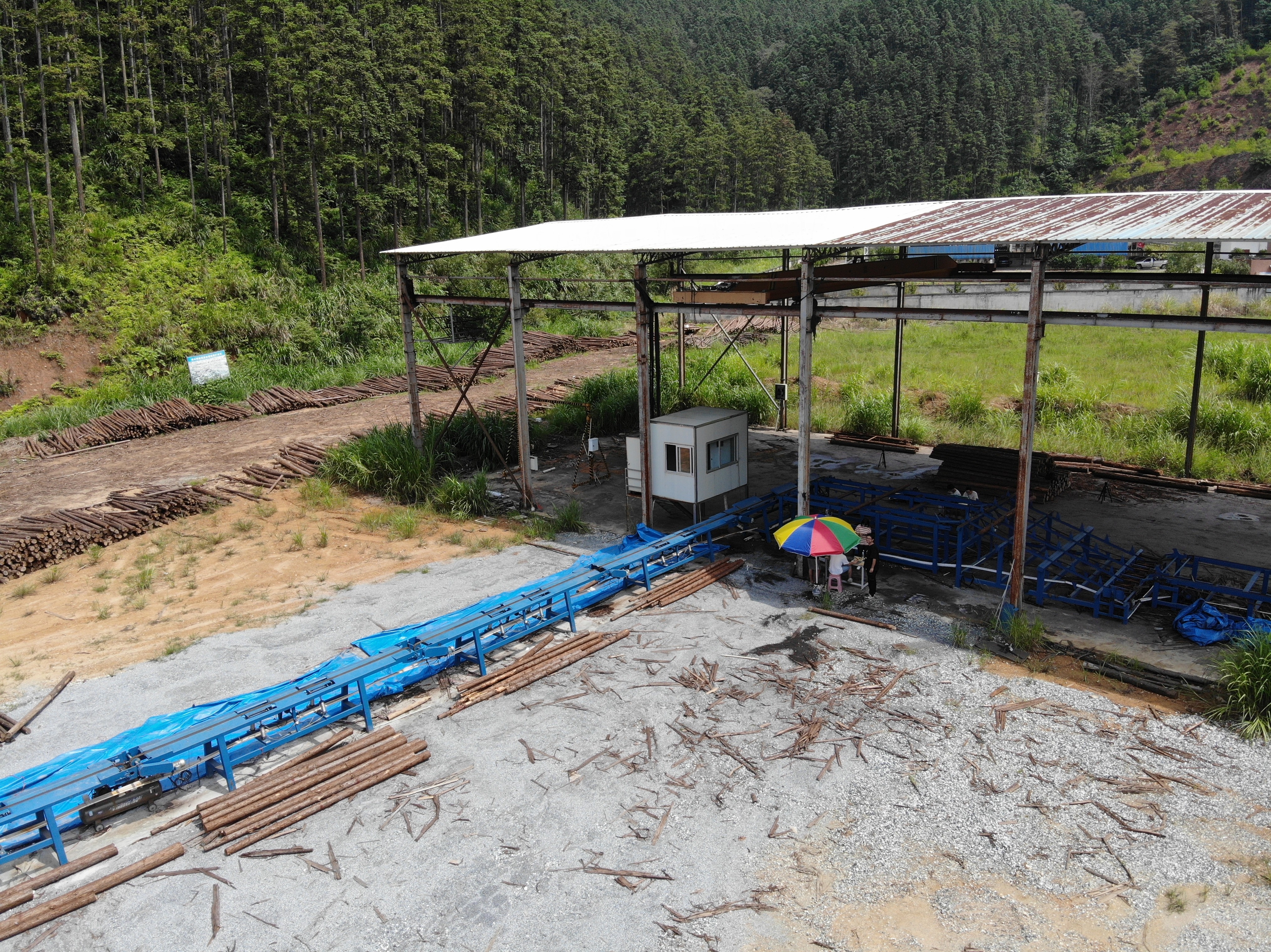 福建金森木材倉儲智能管理系統項目順利通過驗收 福建金森木材倉儲智能管理系統項目順利通過驗收