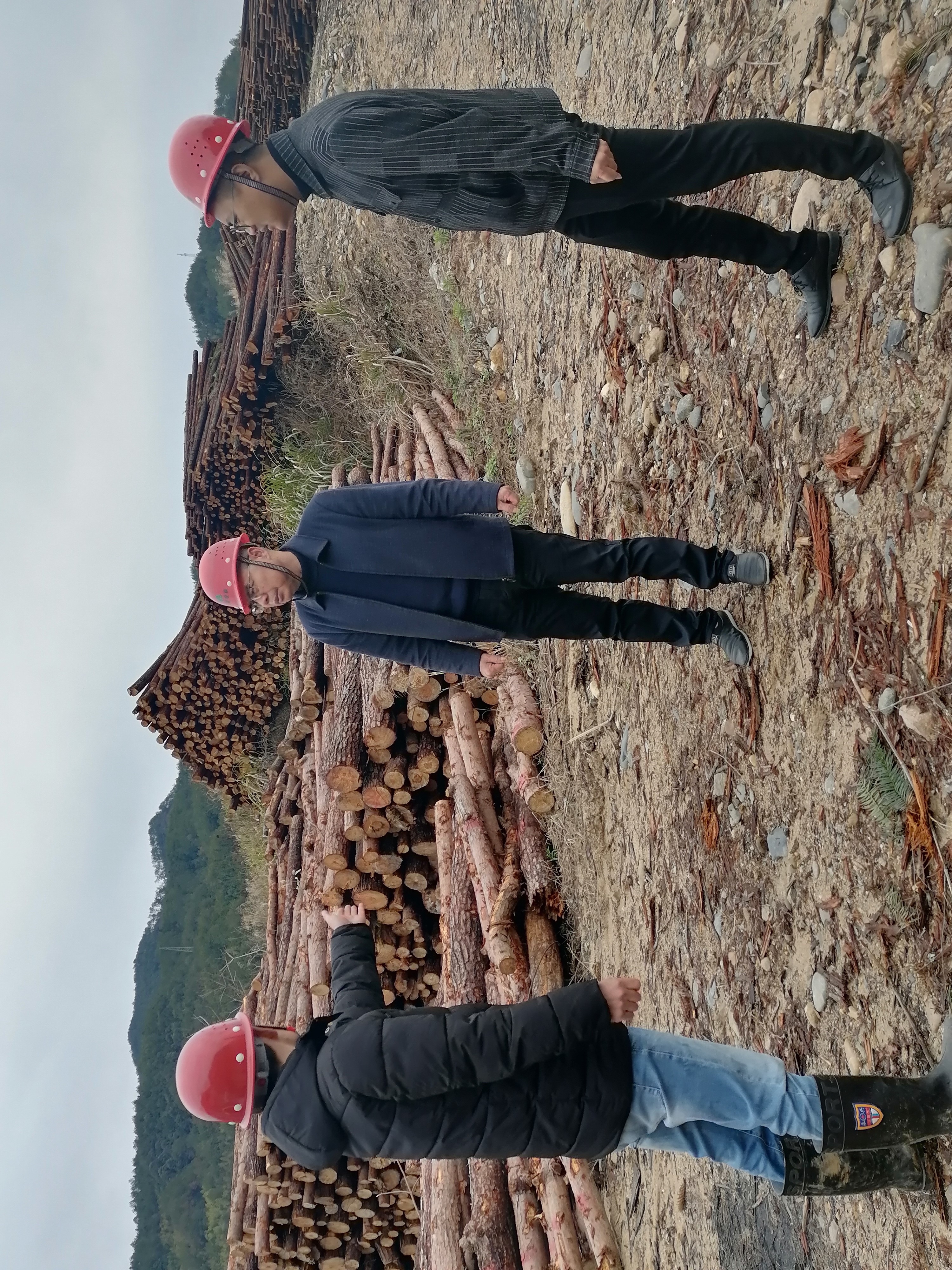 福建金森開展歲末年初安全生產檢查 福建金森開展歲末年初安全生產檢查