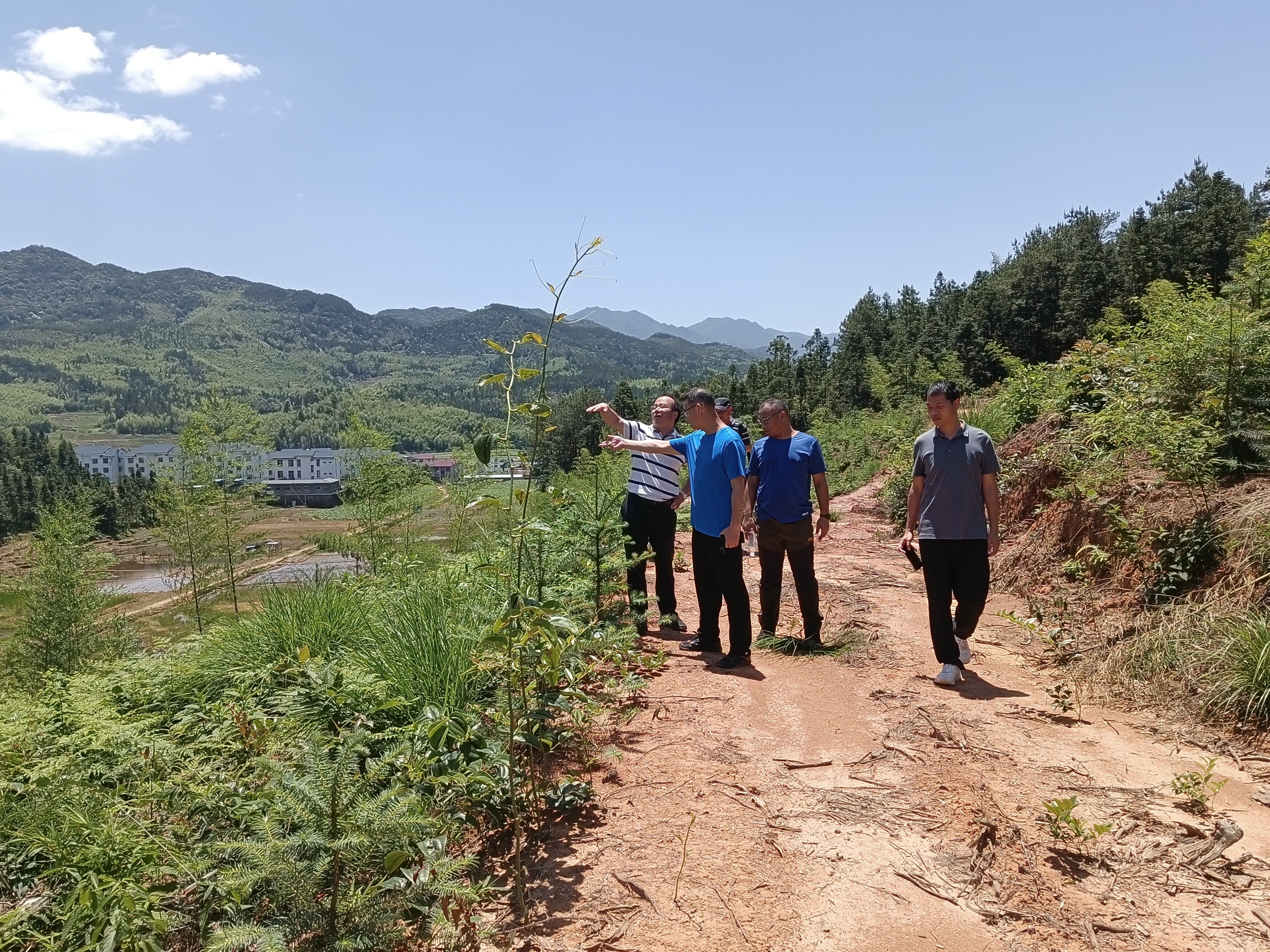 省林科院專(zhuān)家團(tuán)隊(duì)赴福建金森指導(dǎo)森林資源培育工作